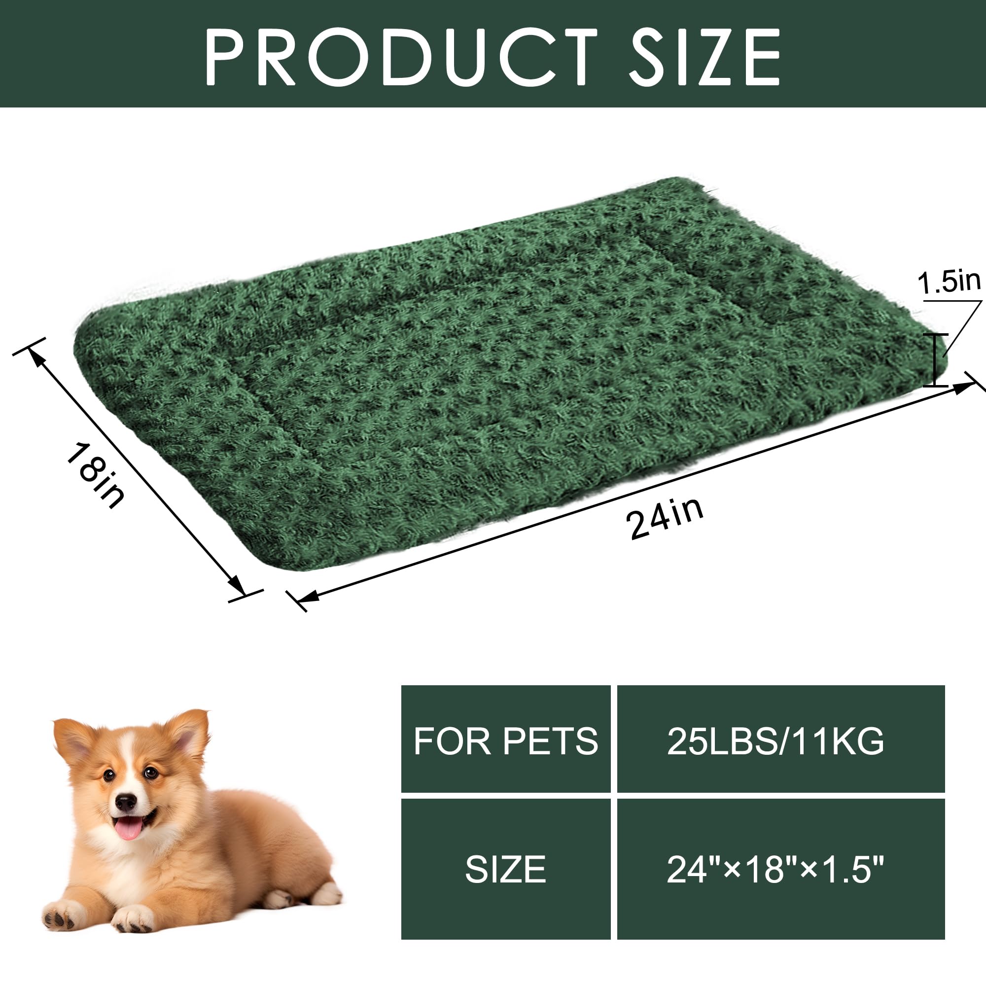 Durabilité et lavage facile Wittop, idéal pour chiens actifs.