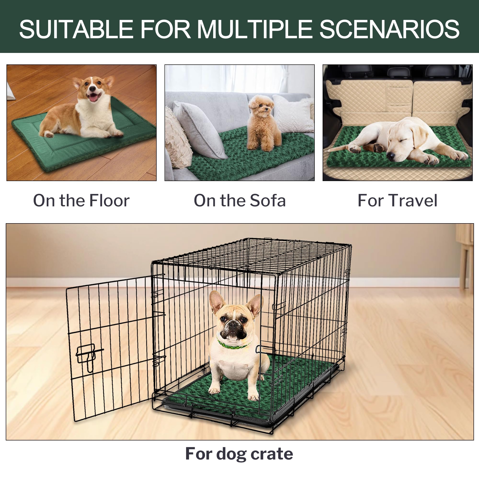 Matelas orthopédique Wittop pour le repos du chien vert.