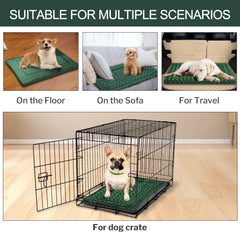 Matelas orthopédique Wittop pour le repos du chien vert.