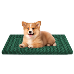 Tapis Wittop vert doux pour chien, confort immédiat dans la caisse.