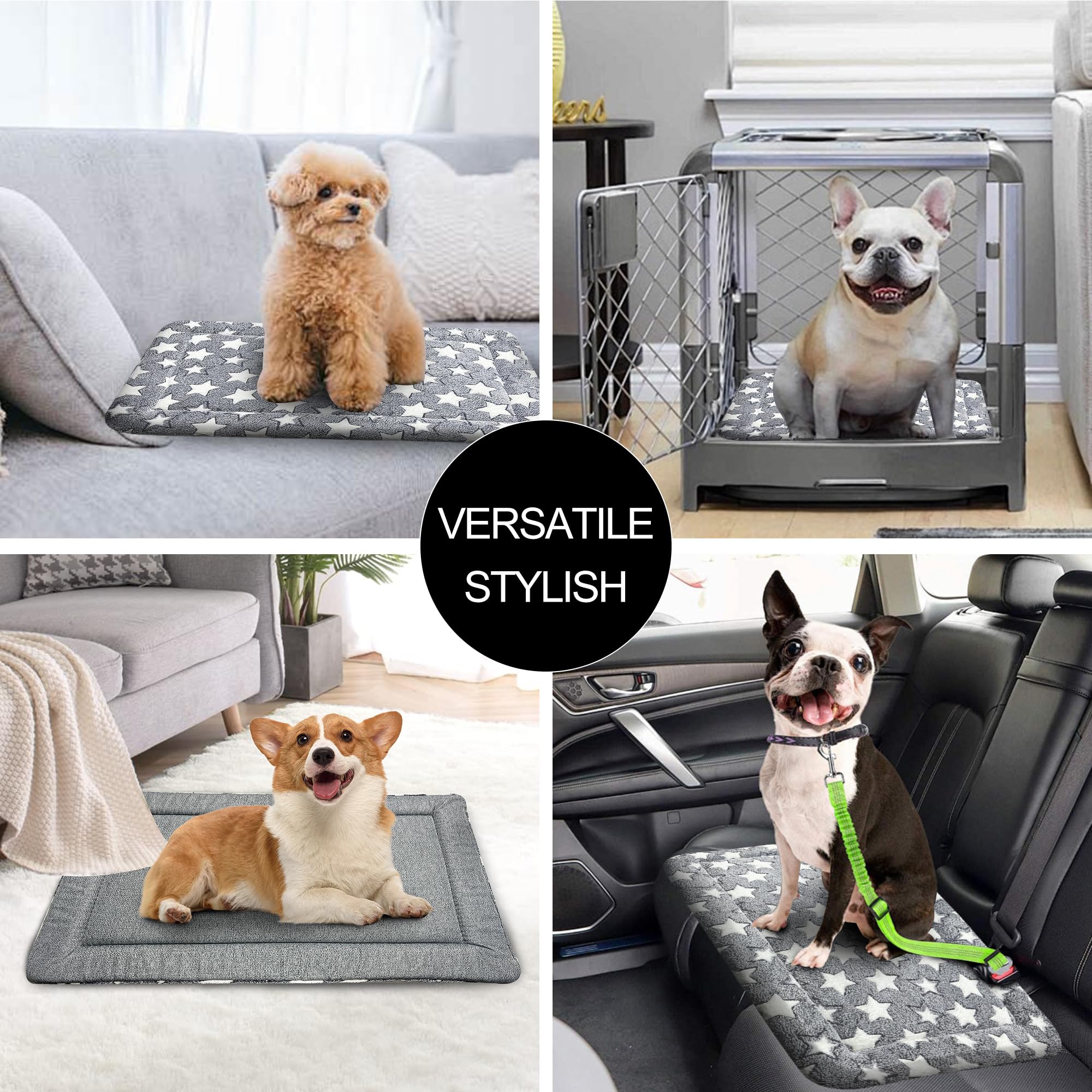 Tapis Wittop gris élégant: s'harmonise avec votre intérieur et cage.