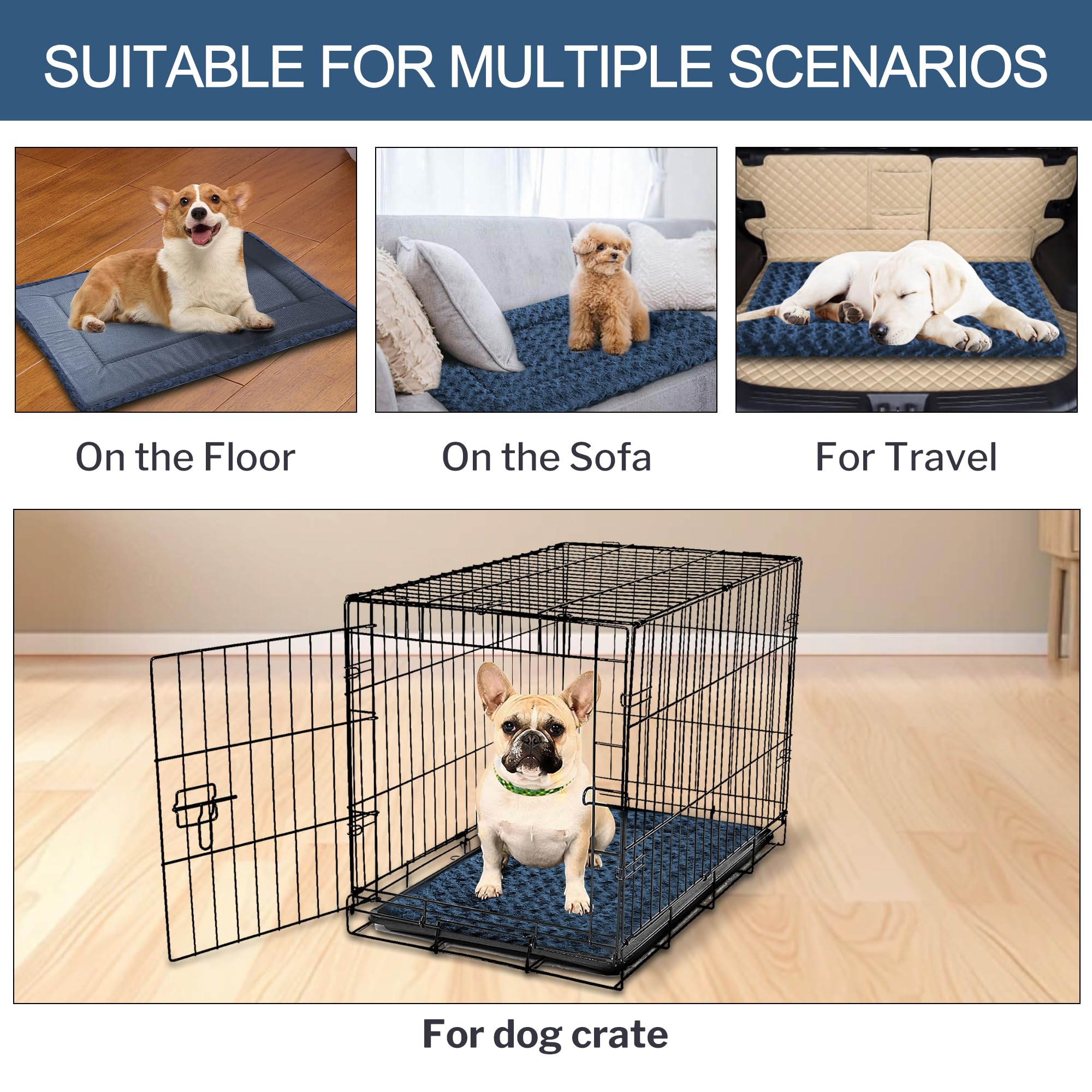 Tissu doux Wittop pour chien, douceur et confort quotidiennes.