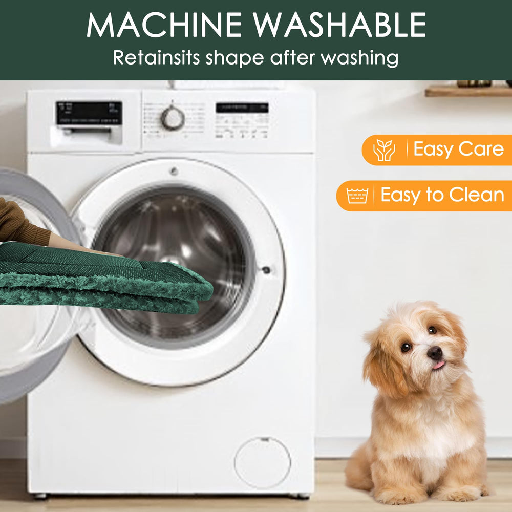 Tissu lavable Wittop facile à nettoyer après les jeux dans l’espace chien vert.