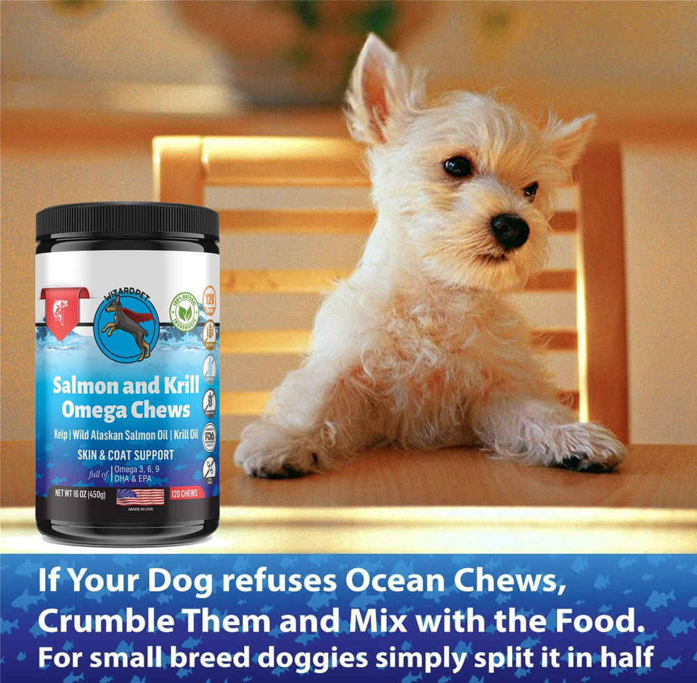 WizardPet sans huile de palme — choix responsable pour animaux et environnement.