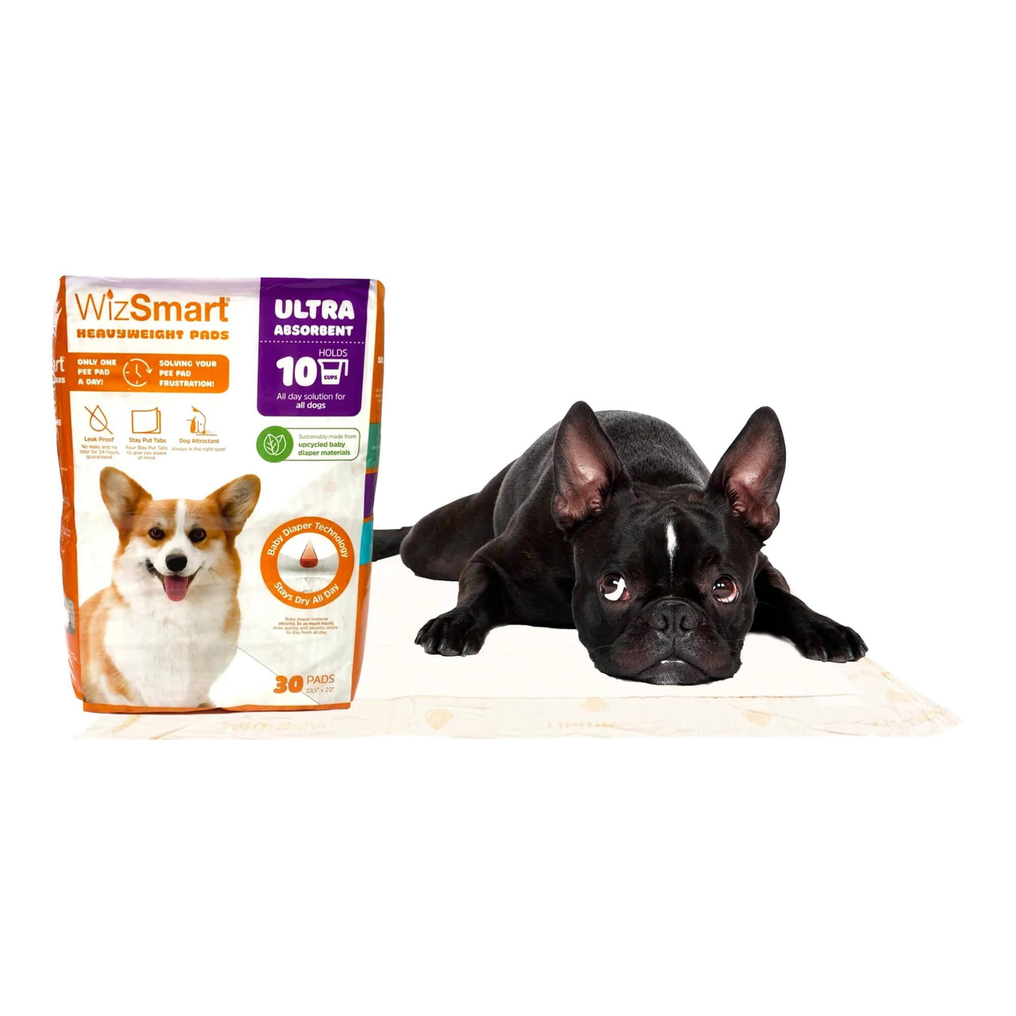 WizSmart Tapis-pipi grand-format-23-5x22 couvre grande surface.