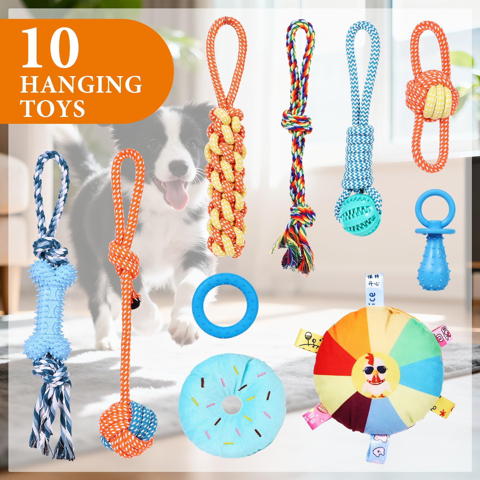 Montage rapide et rangement facile après le jeu WLLEYAY Puppy Play Gym
