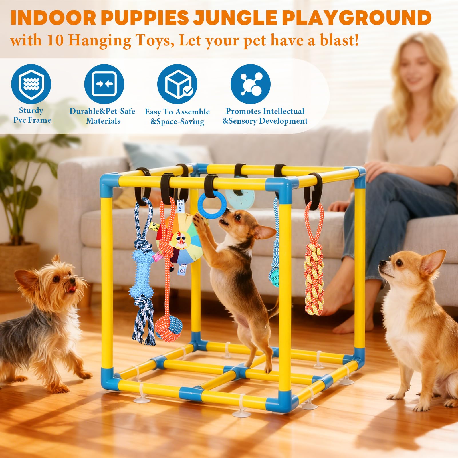 Jouets suspendus amovibles offerts par WLLEYAY pour divers plaisirs de mastication