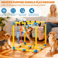 Jouets suspendus amovibles offerts par WLLEYAY pour divers plaisirs de mastication