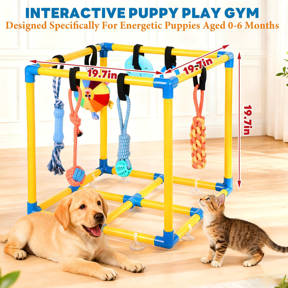 Jouets suspendus amovibles élargissant les possibilités de jeu pour chiots