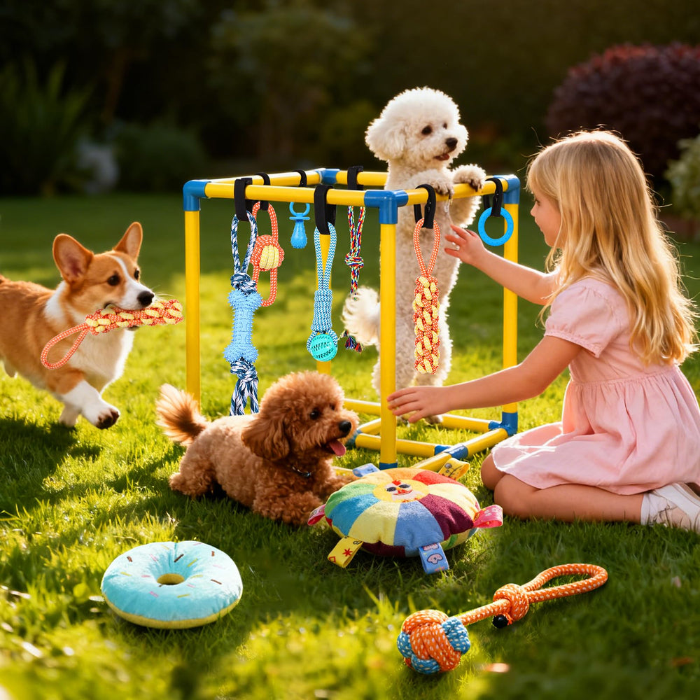 Stimulation de dentition et développement intellectuel pour chiots WLLEYAY