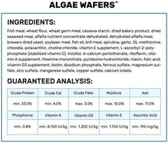 Hikari galettes algues, format quotidien pour alimentation des poissons du fond.