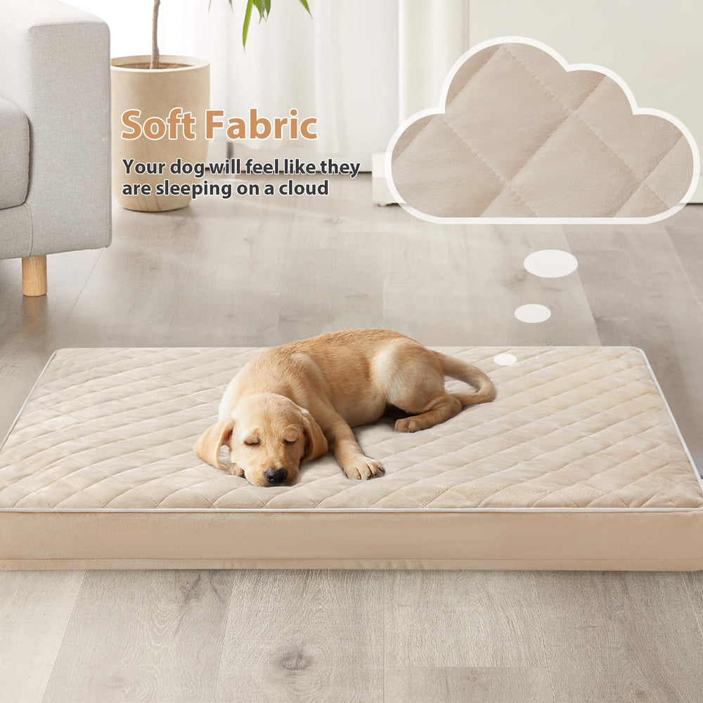 WNPETHOME housse lavable avec fermeture zippée nettoyage facile