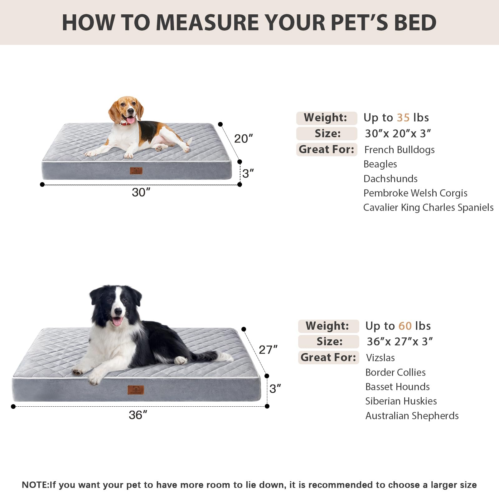 WNPETHOME dimensions 30x20x3 pouces; adapté aux petits et moyens chiens.