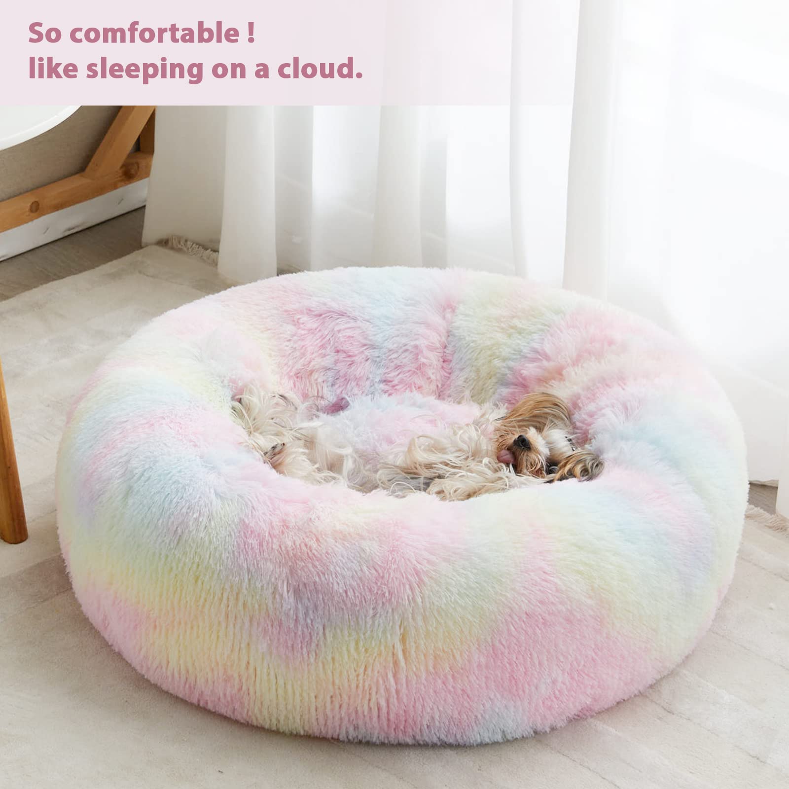 WNPETHOME Donut arc-en-ciel, vue latérale, ambiance cocooning et chaleur.