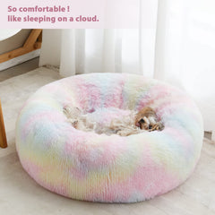WNPETHOME Donut arc-en-ciel, vue latérale, ambiance cocooning et chaleur.