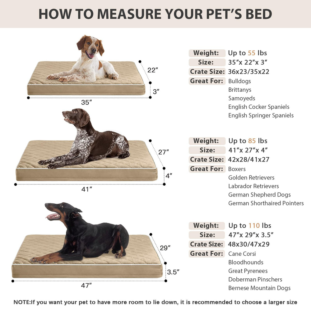 WNPETHOME grand-lit 47x29x3,5 pouces pour chiens robustes.