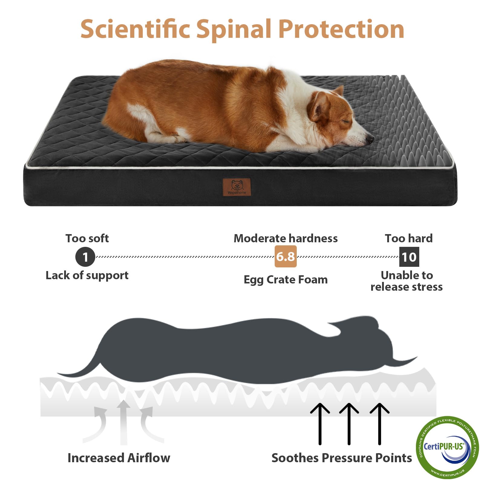 WNPETHOME lit chien avec fermetures zippées lavables pour entretien facile