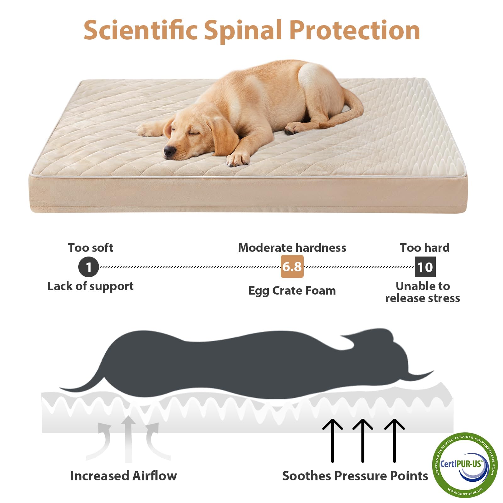 WNPETHOME lit-chien mousse nid-dabeille haute densite assure un soutien uniforme