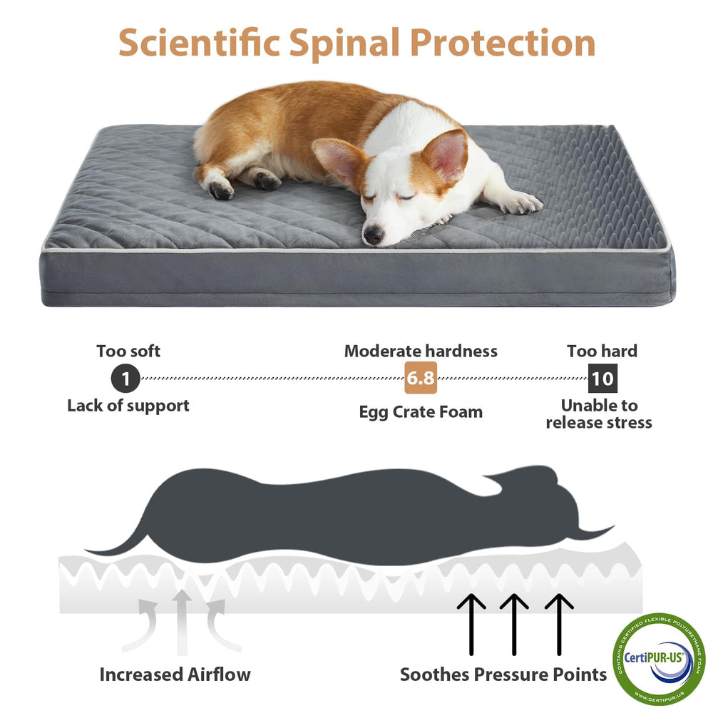 WNPETHOME mousse orthopédique nid d'abeille pour soutien et répartition du poids.