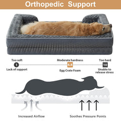 WNPETHOME mousse dense 3,5 pouces pour articulations et confort.