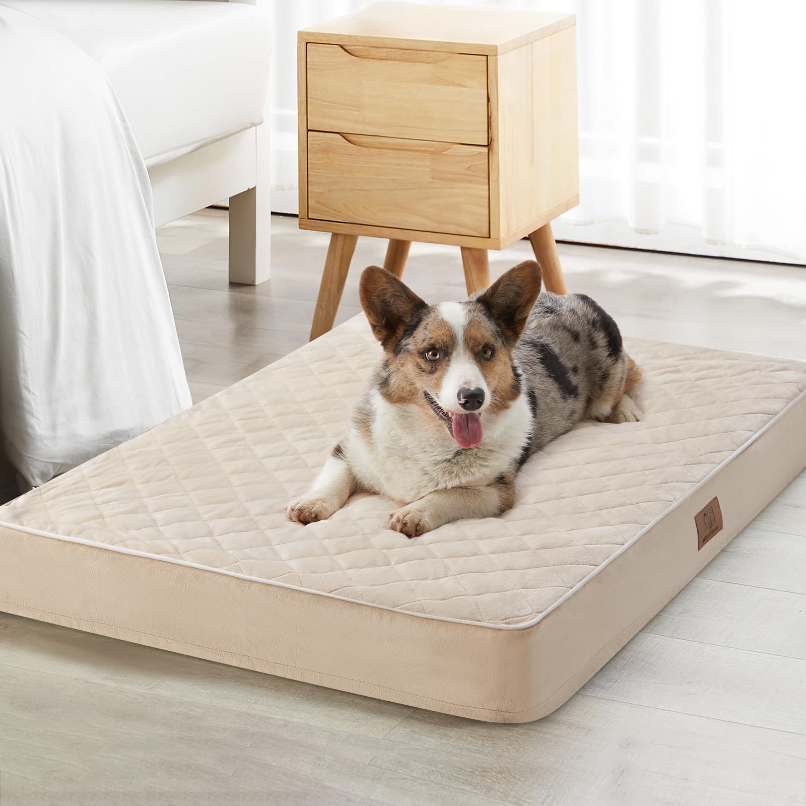 WNPETHOME lit chien velours couture matelassage pour un confort chaleureux et élégant