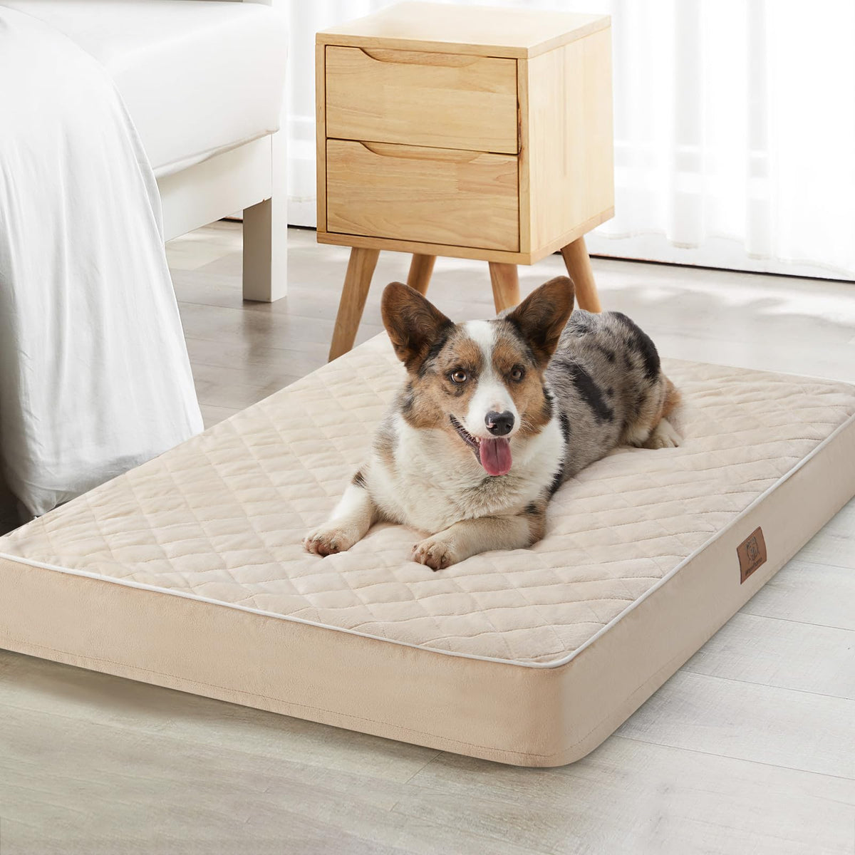 WNPETHOME lit chien velours couture matelassage pour un confort chaleureux et élégant