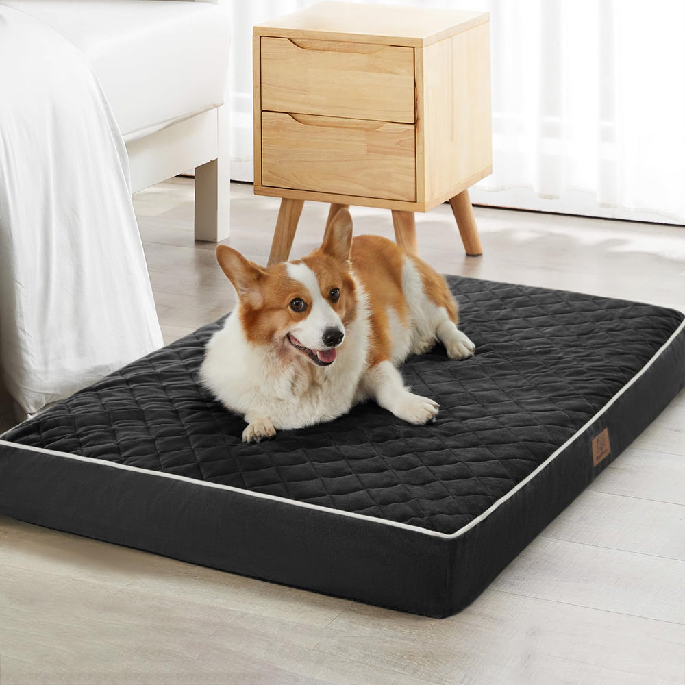 WNPETHOME lit chien velours surface douceur et chaleur