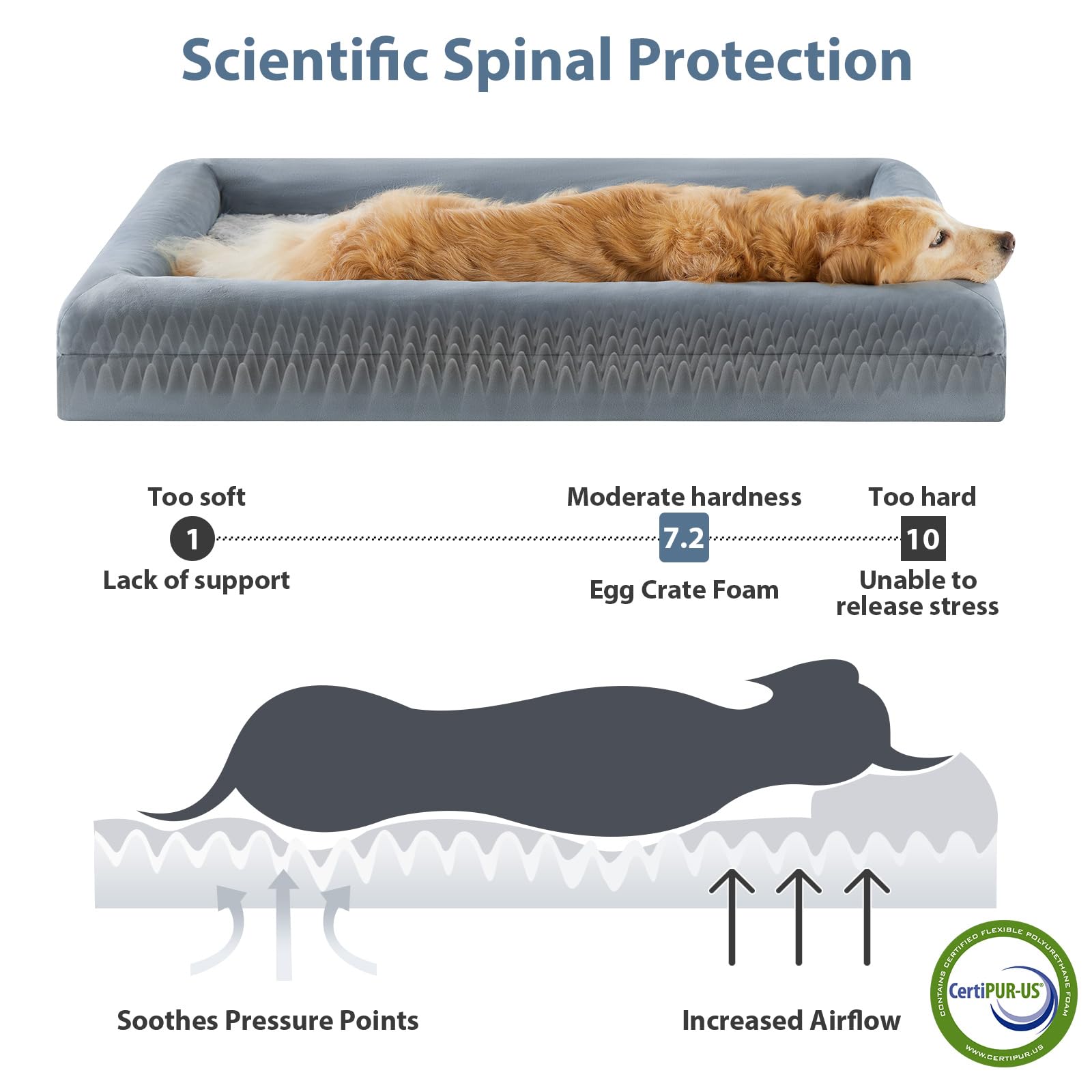 Lit chien XXL WNPETHOME avec mousse haute densité forme œuf pour un soutien équilibré