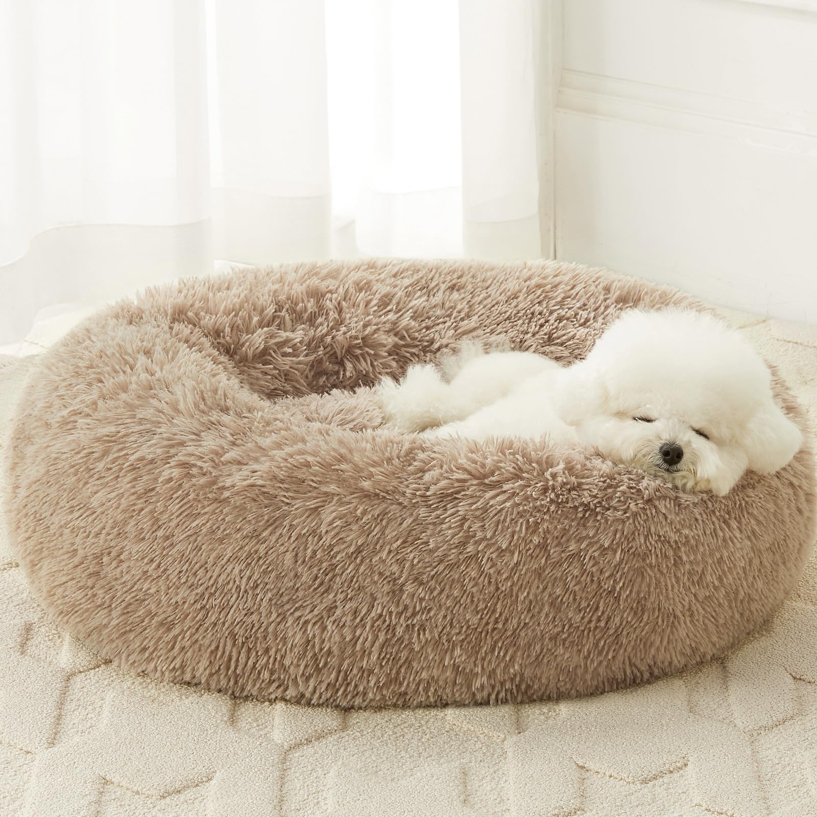 Lit donut apaisant WNPETHOME pour petit chien avec coussin moelleux.