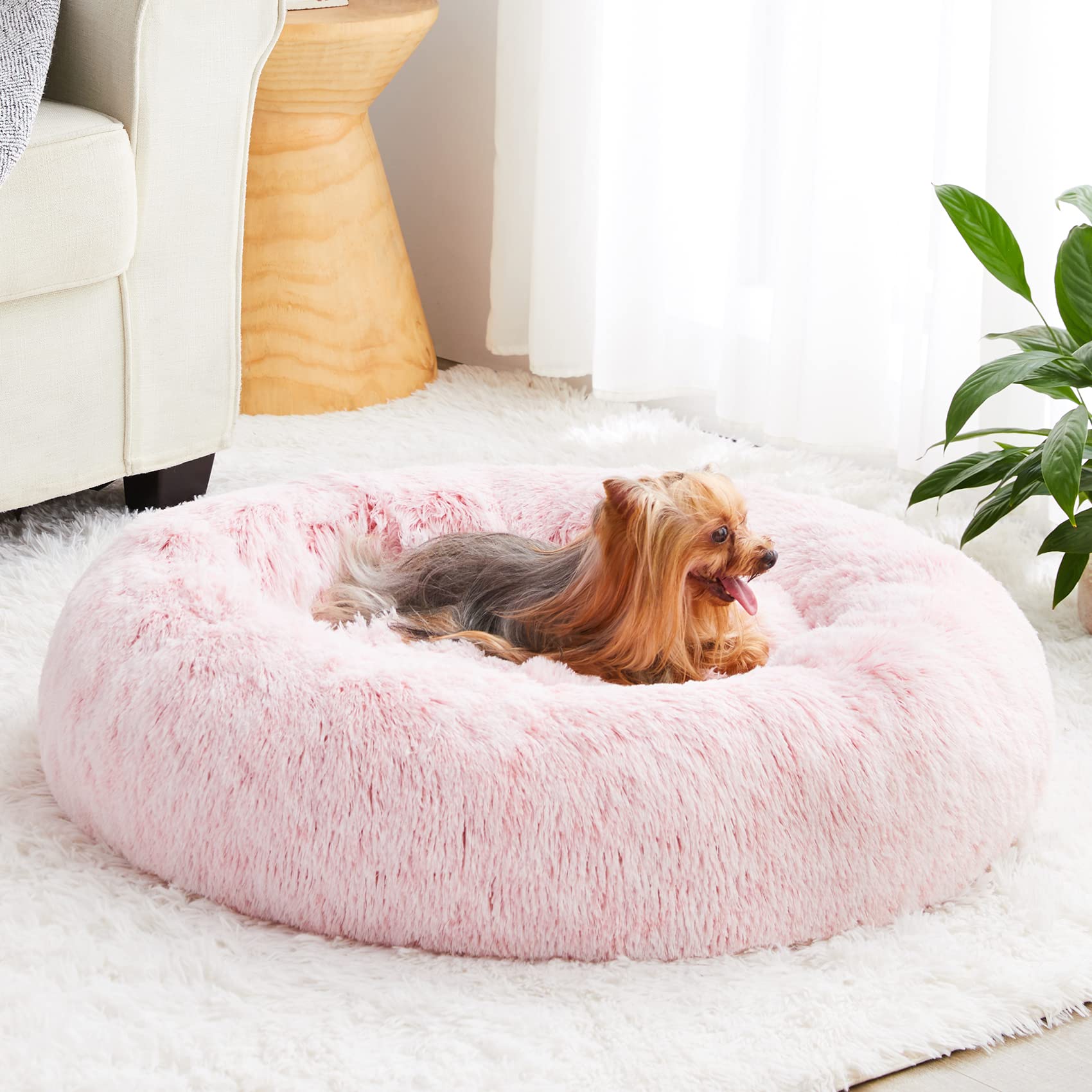 WNPETHOME lit donut rose clair, vue d’ensemble pour un repos apaisé et confortable.