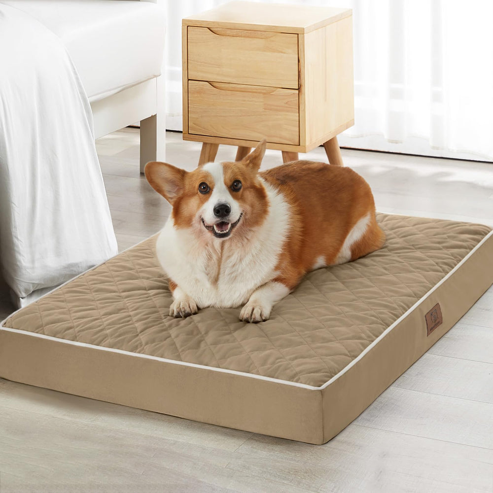 WNPETHOME lit orthopédique XL pour chien, soutien durable.