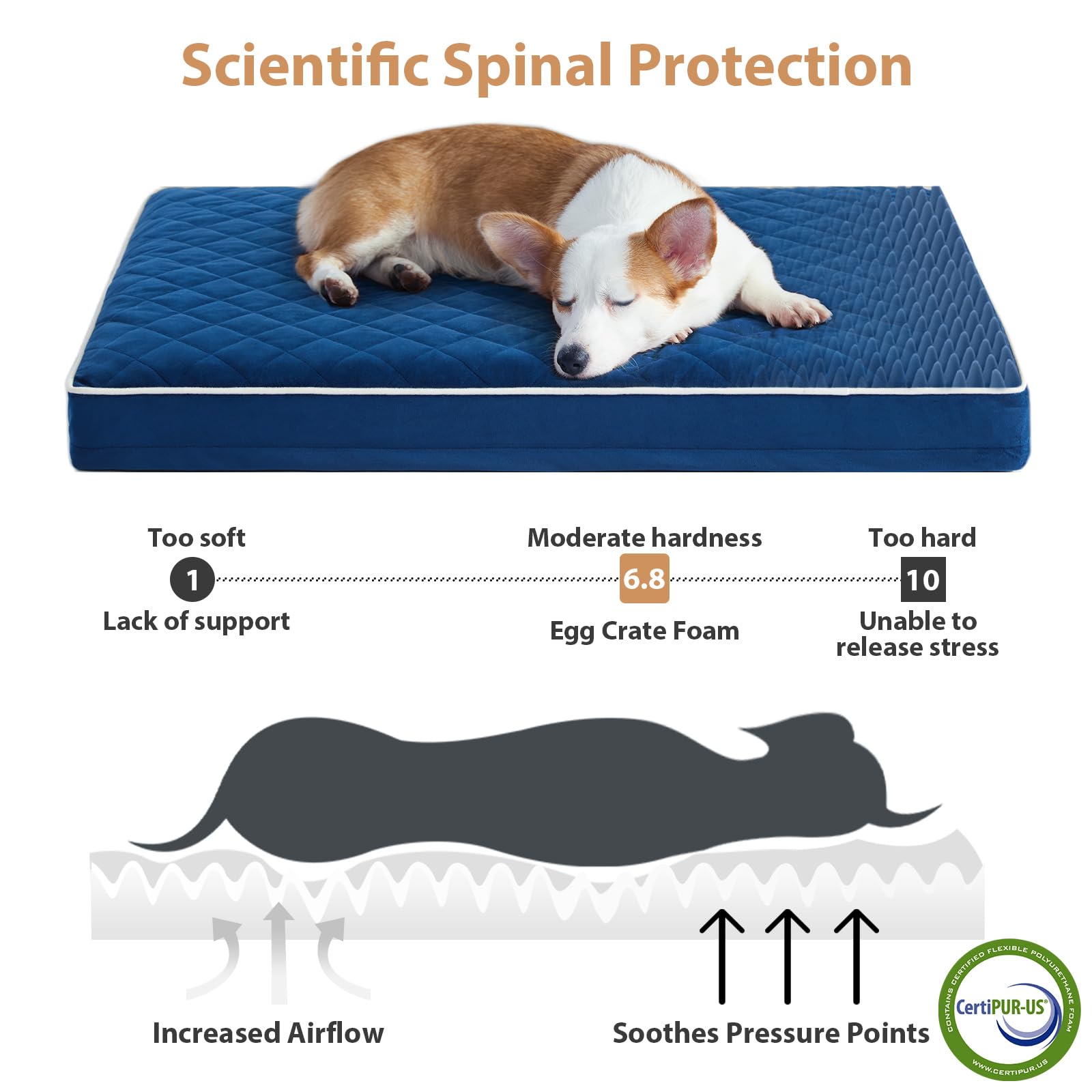 Lit orthopédique XXL WNPETHOME: mousse en nid dabeille pour soutien ciblé