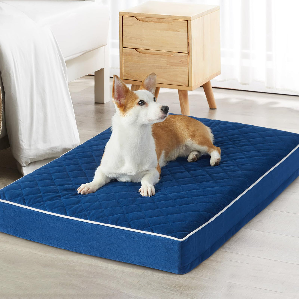 Lit orthopédique XXL WNPETHOME: velours doux pour le confort nocturne du chien