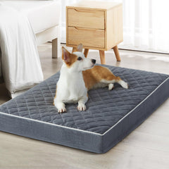 WNPETHOME lit en velours matelassé pour chien, toucher doux et chaleureux.