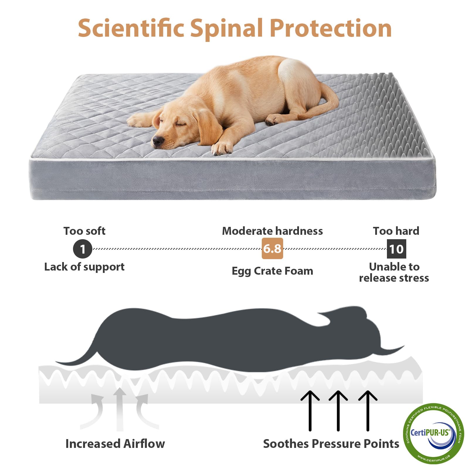 WNPETHOME mousse orthopédique haute densité offre soutien ciblé