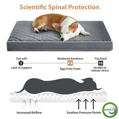 WNPETHOME mousse orthopedique haute densite offre un soutien confortable.
