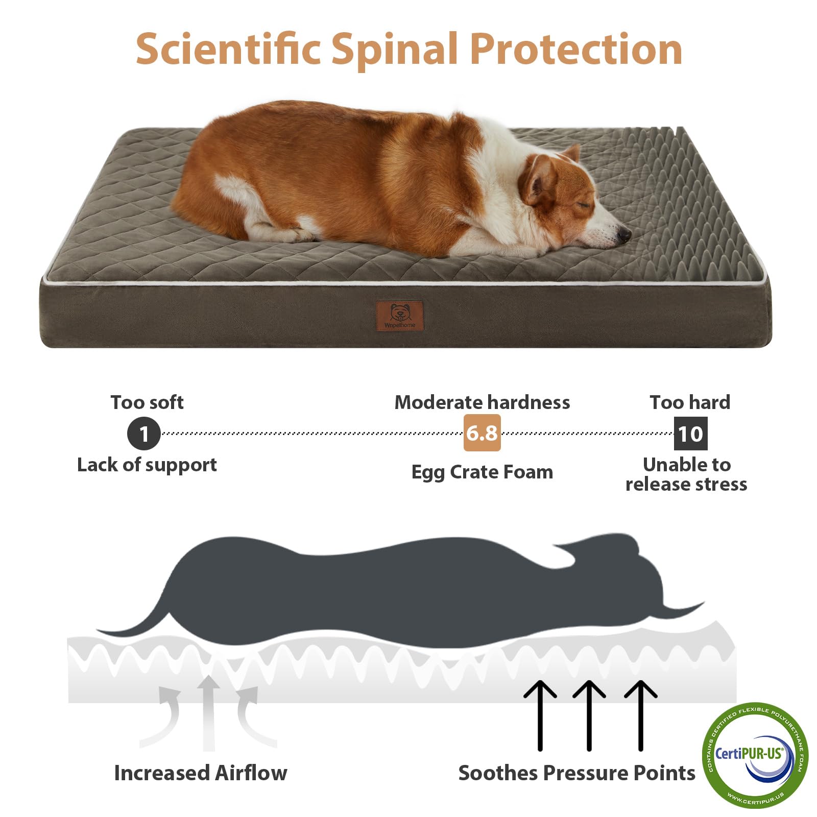 wnpethome mousse orthopédique nid-d’abeille, soutien pour articulations.
