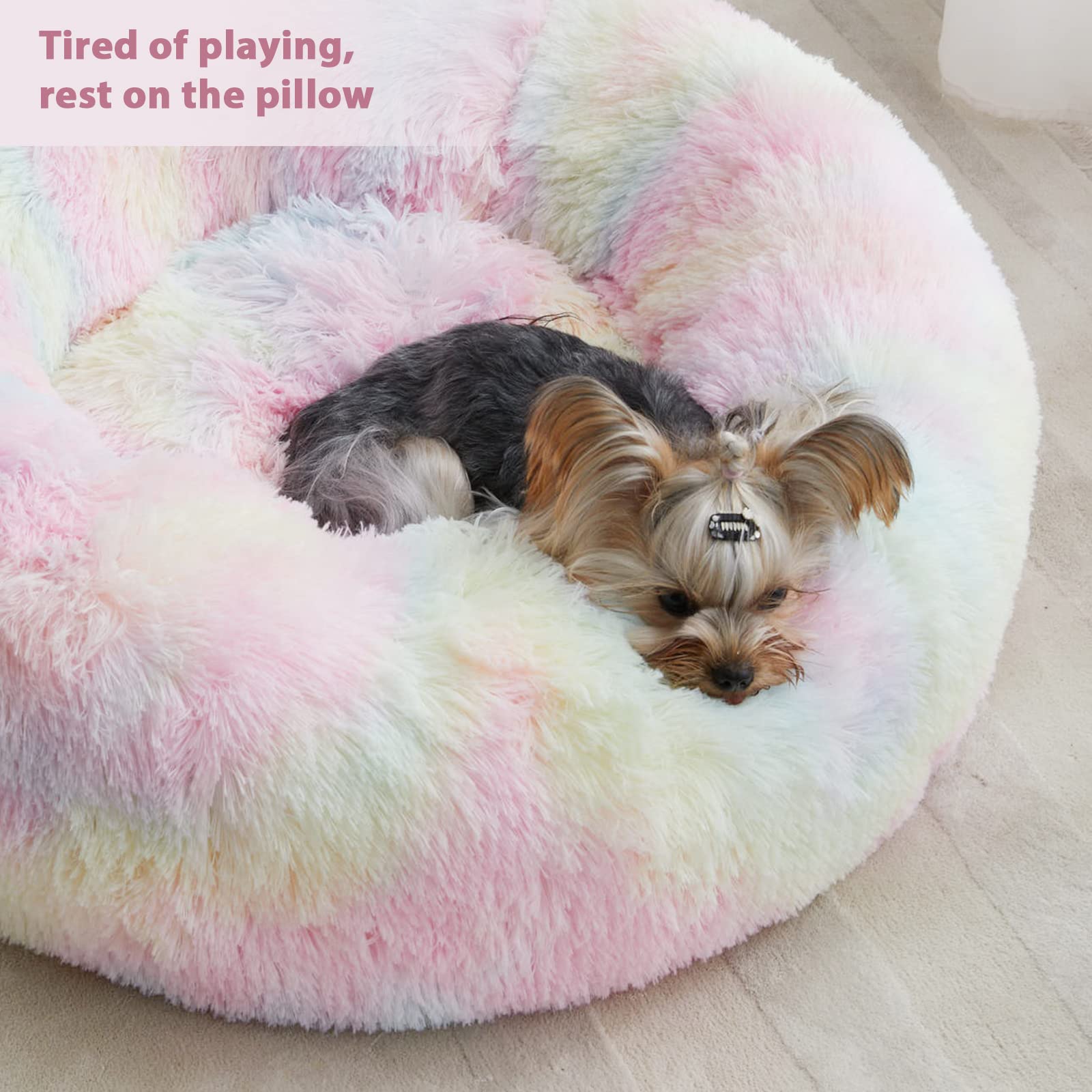 Utilisation quotidienne du lit Donut par WNPETHOME, idéal pour petits chiens et chats.