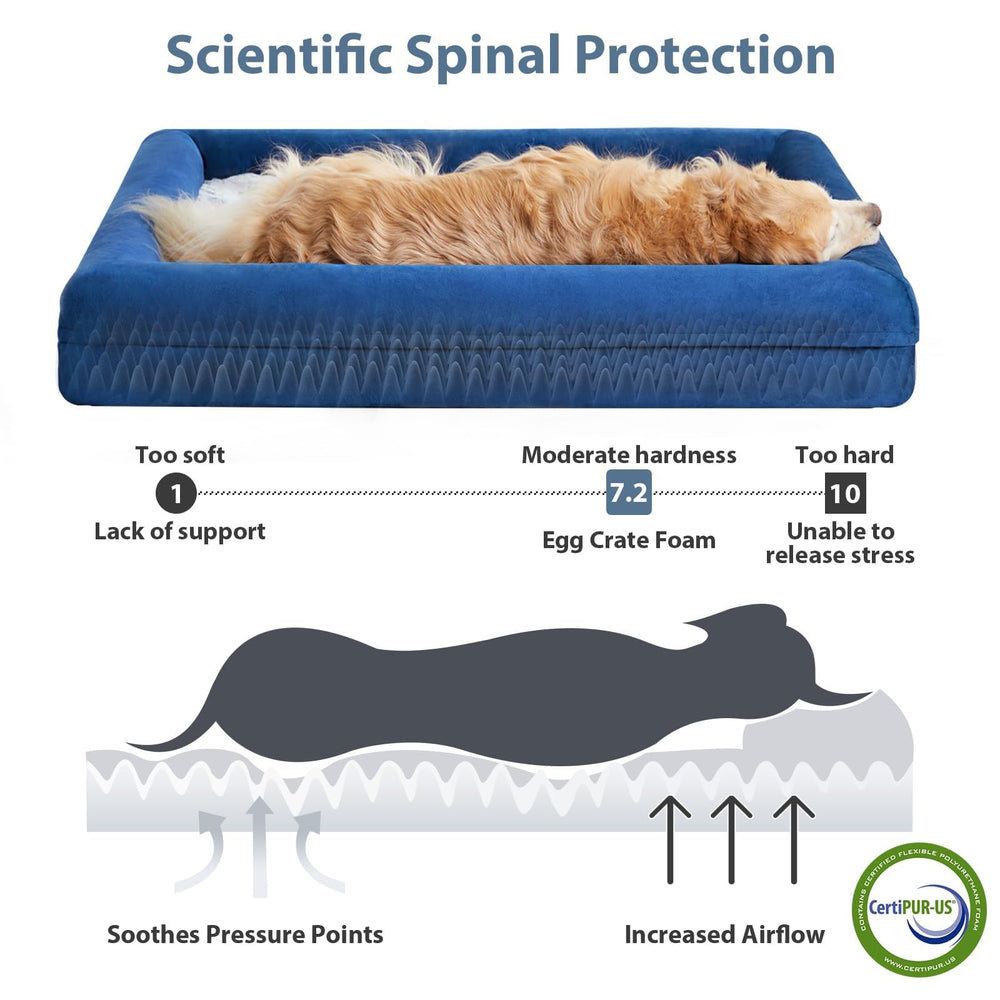 WNPETHOME XL mousse orthopedique densite elevee, soutien ciblé pour les articulations.