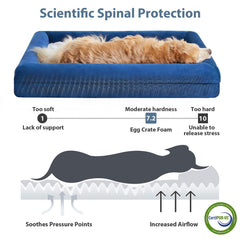 WNPETHOME XL mousse orthopedique densite elevee, soutien ciblé pour les articulations.