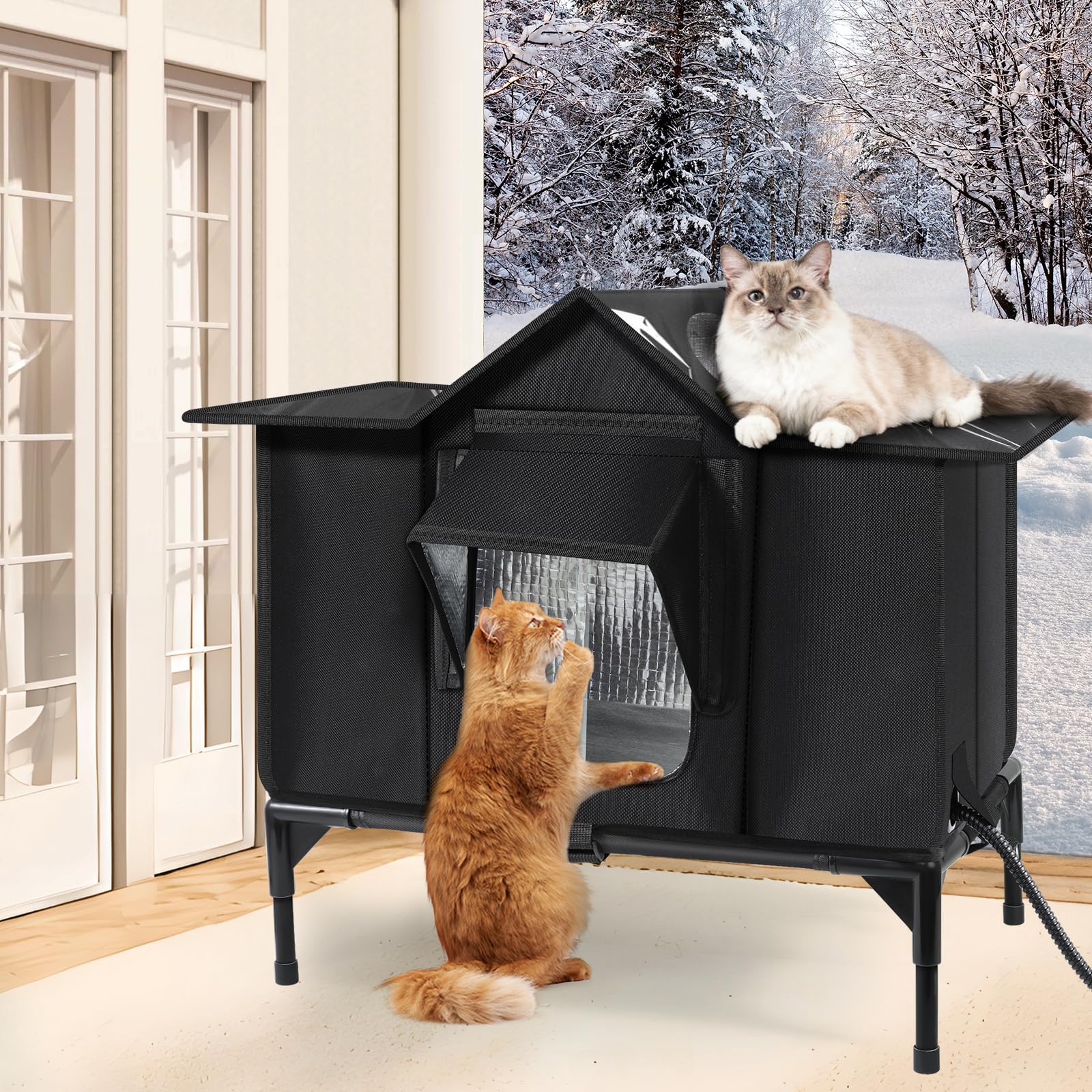 Wn's Day Abri-chat-exterieur, idéal pour chatons et chats errants.