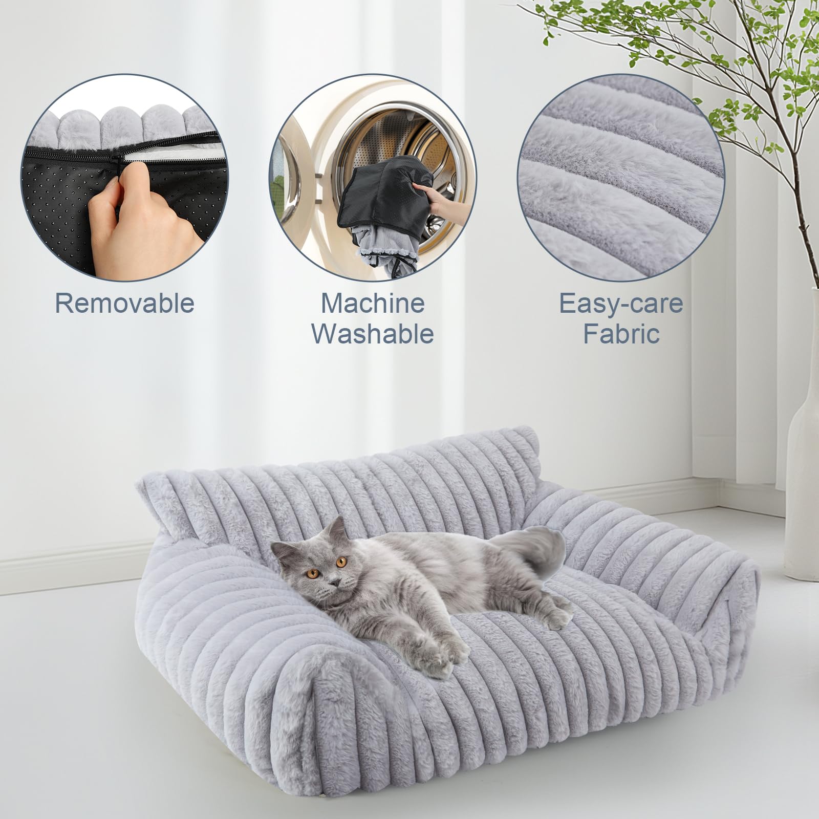 Wn's Day emballage sous vide, assemblage rapide et simple