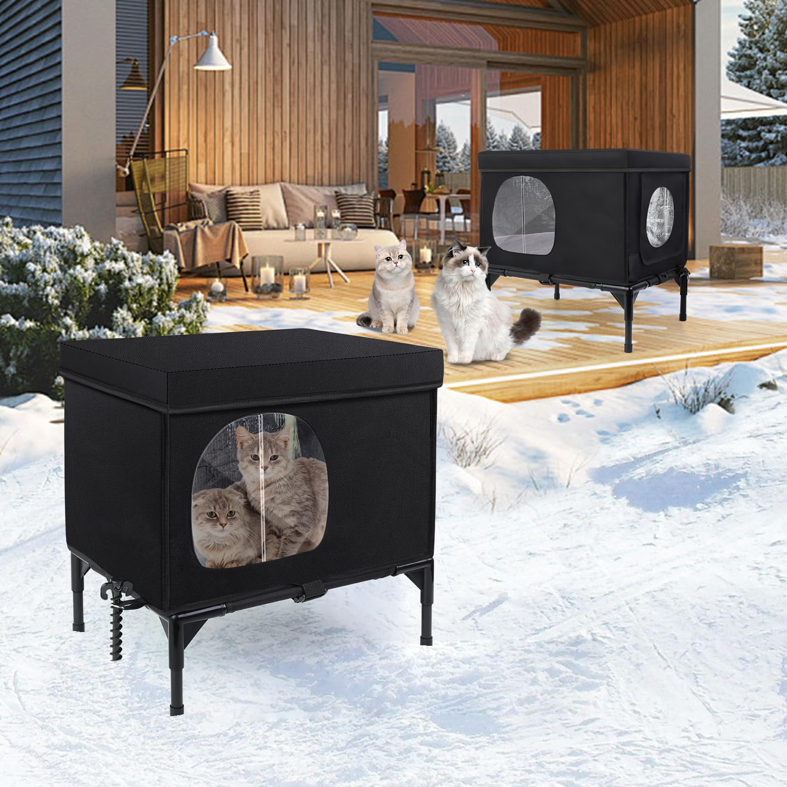 Wn's Day: coussin doux et confort pour les chats