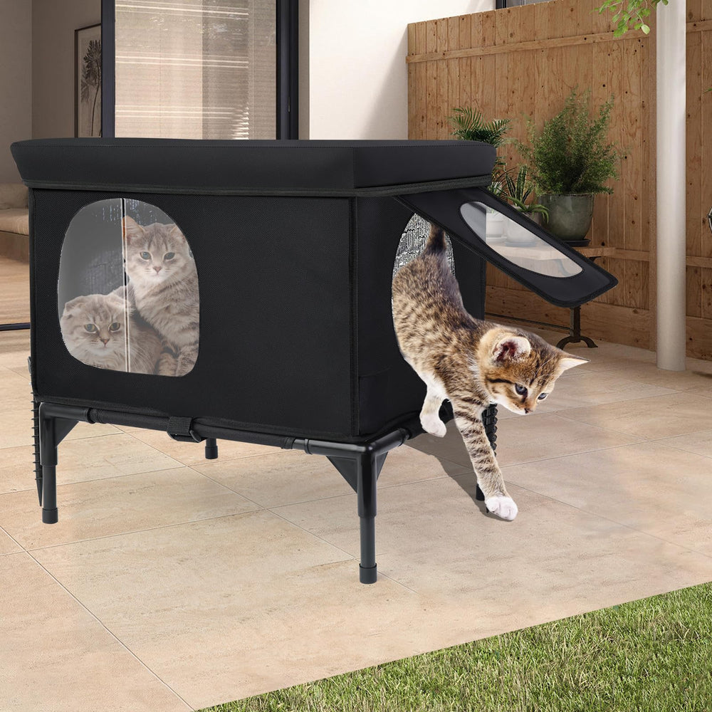 Wn's Day: conçu pour 1 à 2 chats en hiver
