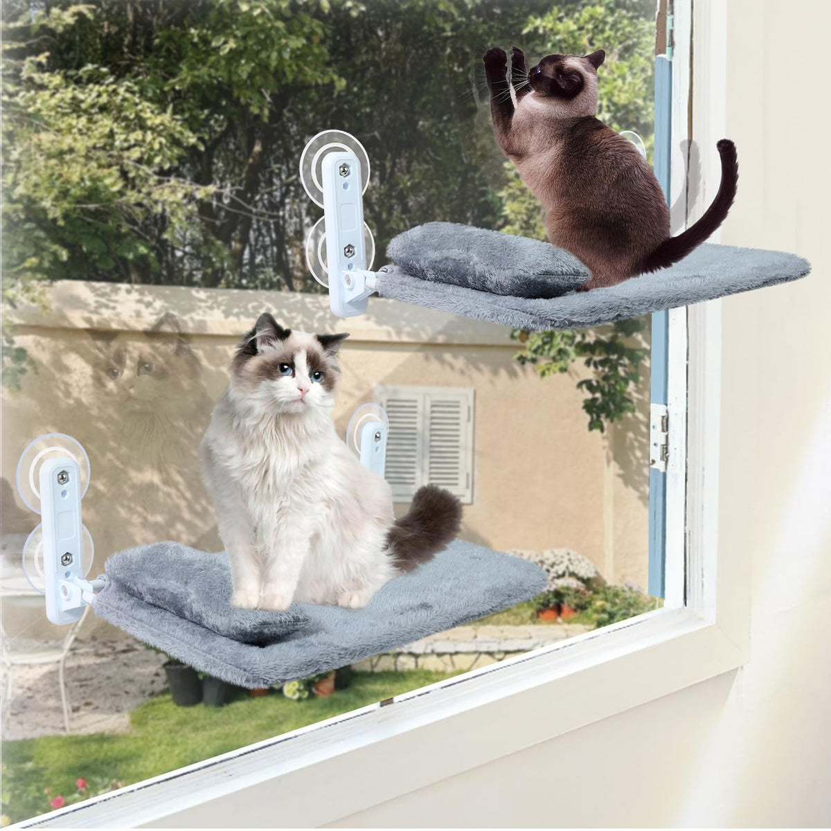 Nid de fenêtre Wn's Day pour deux chats, endroit idéal pour se détendre.