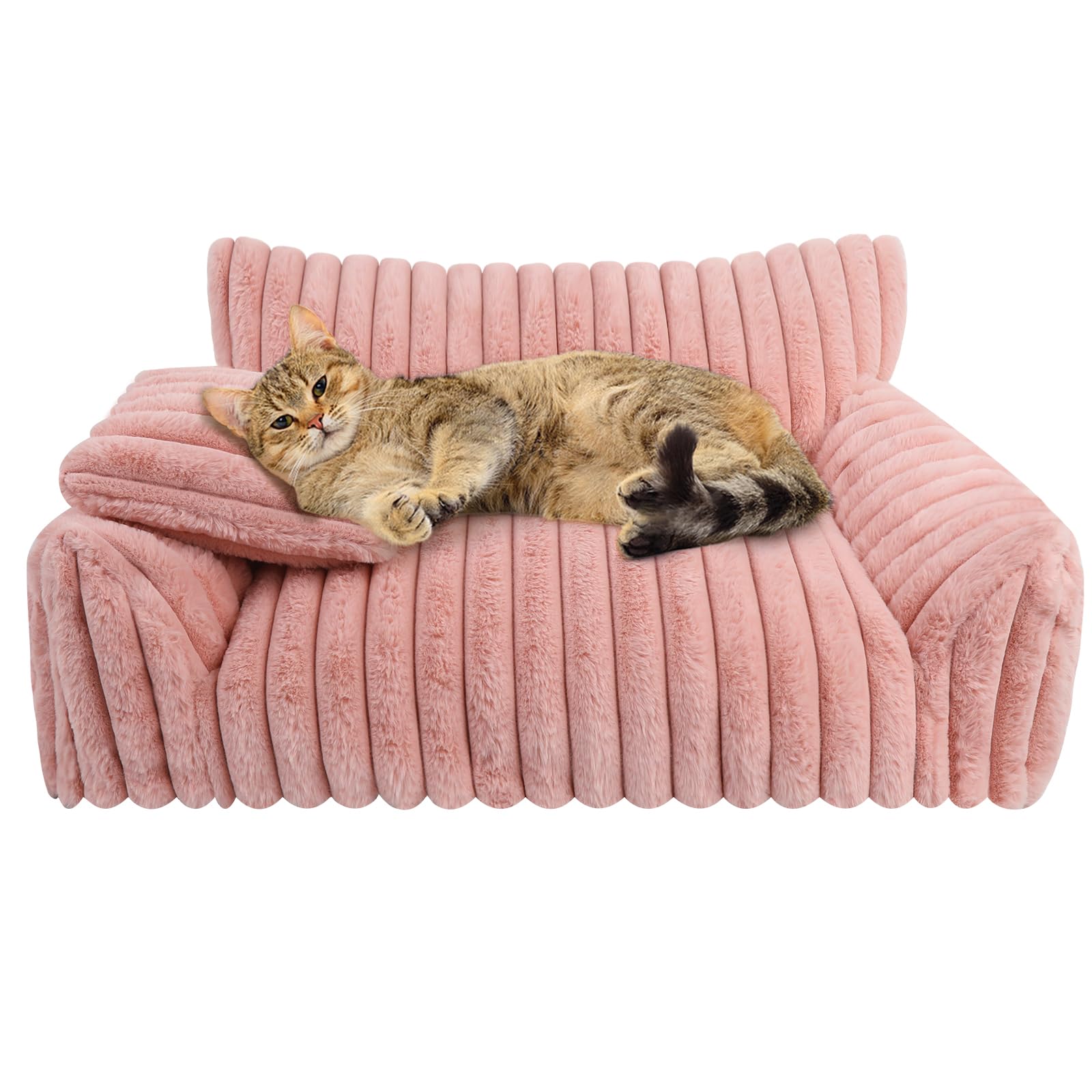 Utilisation hivernale Wn's Day, espace chaleureux pour chats et chiots.