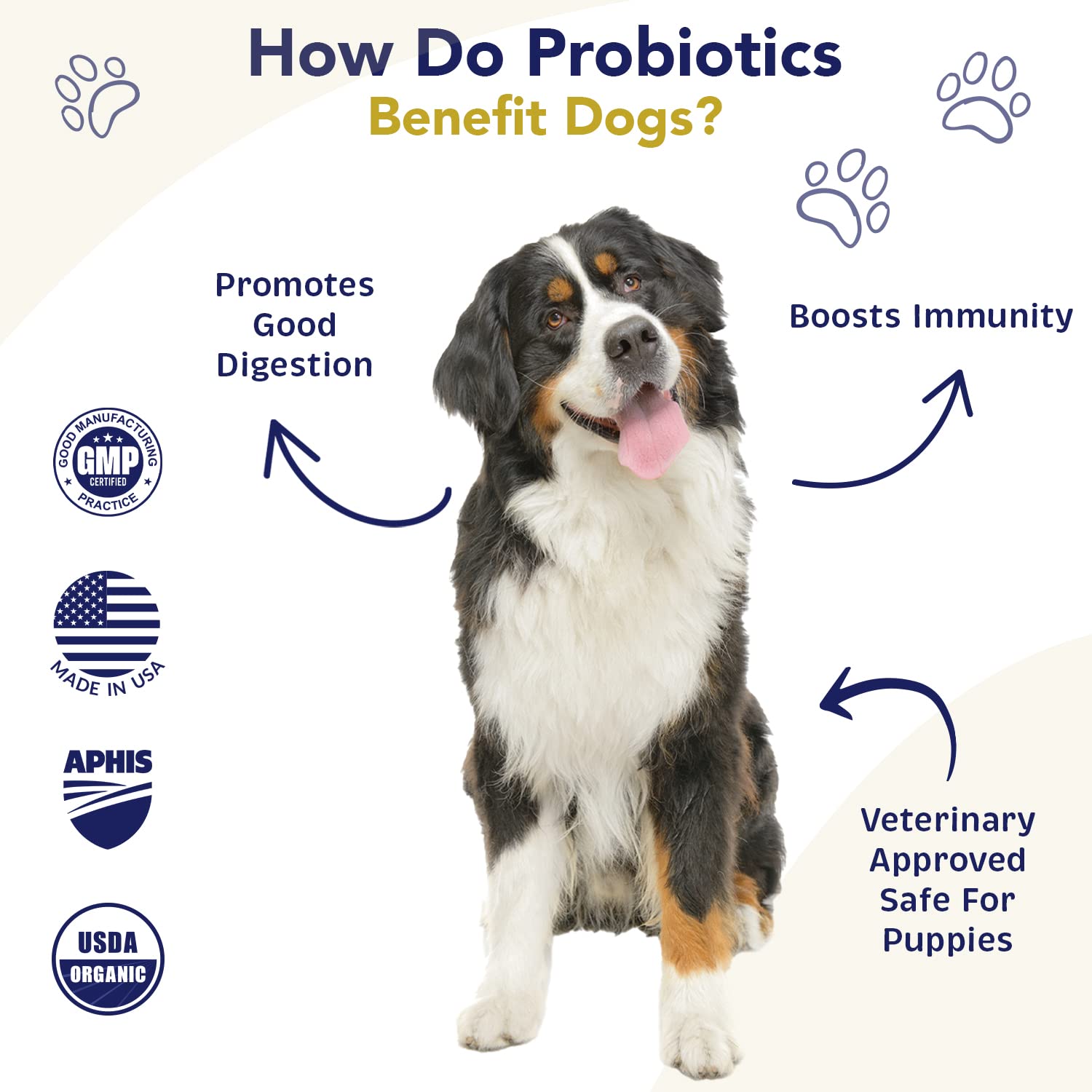 Amélioration de l’absorption des nutriments avec les probiotiques WNz Health.
