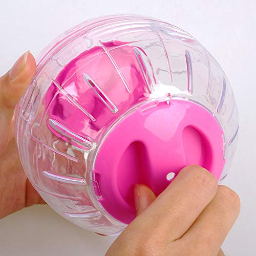 Coque transparente WNZQK, vue nette des mouvements.