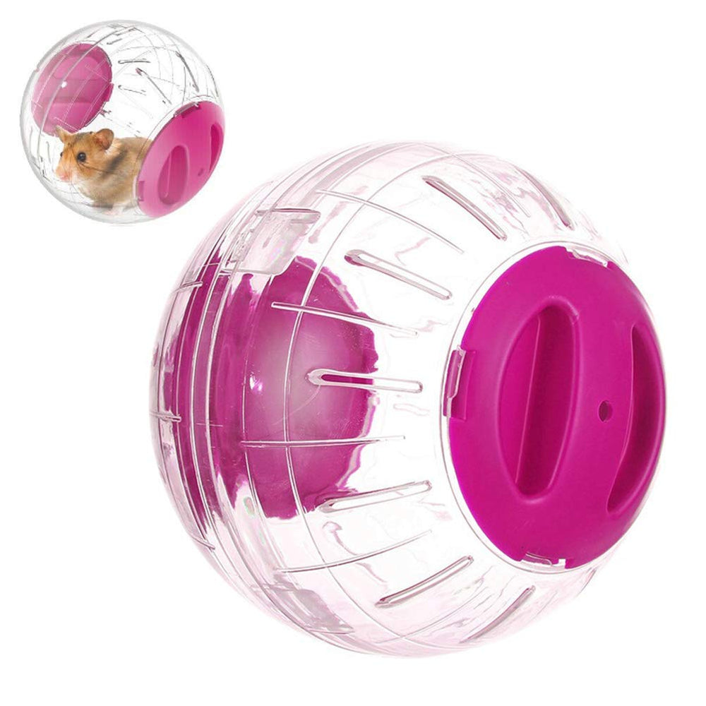 Observation du petit animal avec la balle WNZQK.