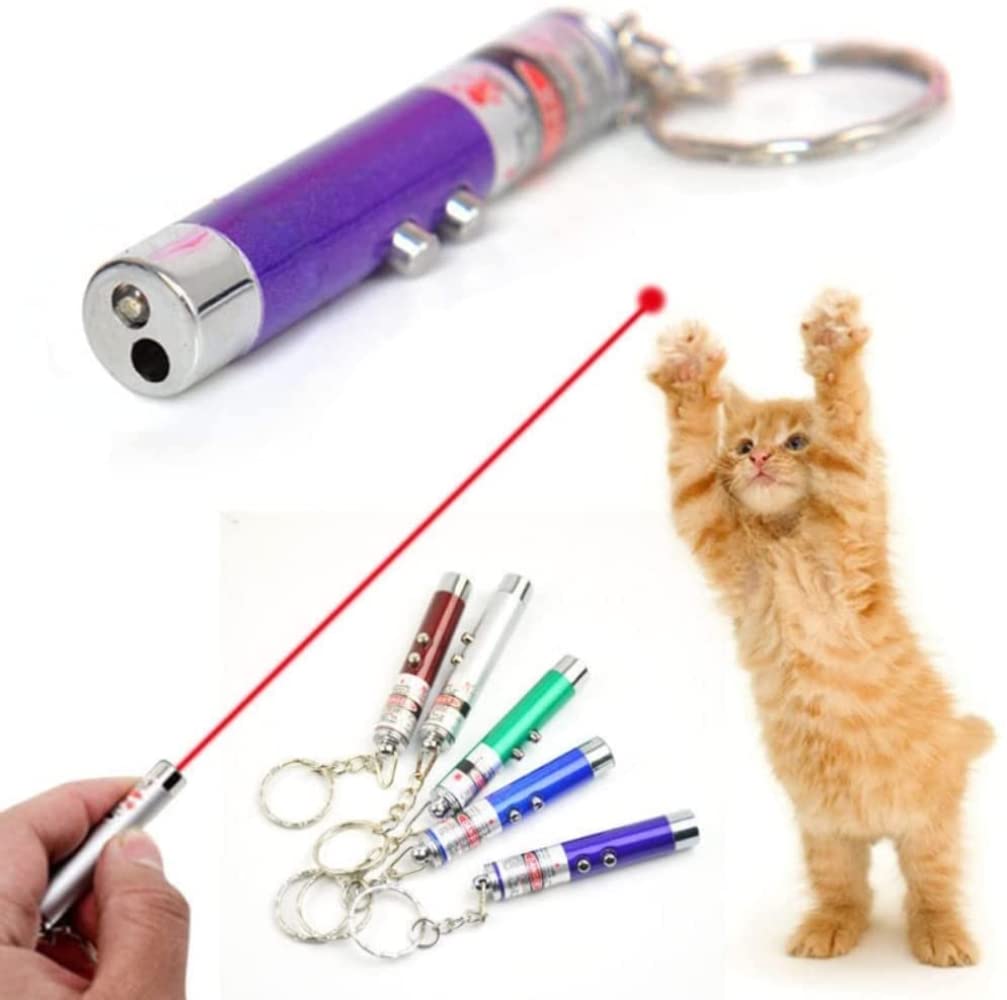 Pointeur laser violet WNZQK, mini lampe et jeu.